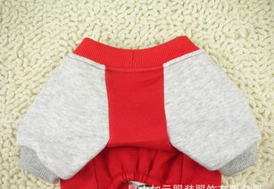 宠物服装批发指南 探寻狗狗圆领运动卫衣的商机