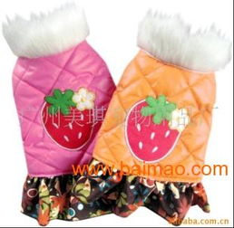 专业厂家直销 宠物服装田园草莓夹克批发与定制服务全解析